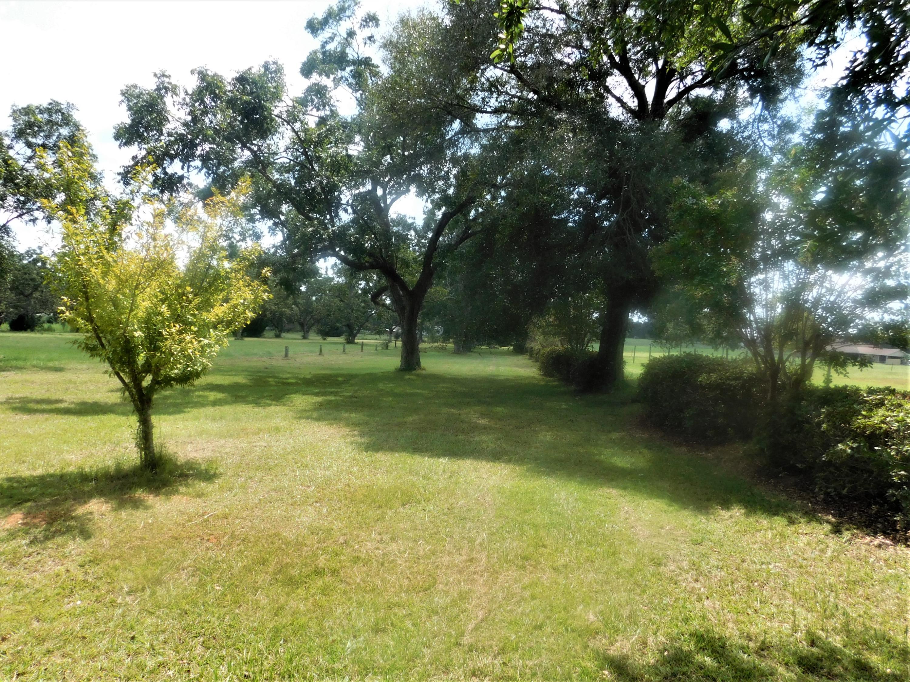 1533 Messick Road Baker, FL 32531 - Photo 38 of 40 a view of outdoor space with trees all around