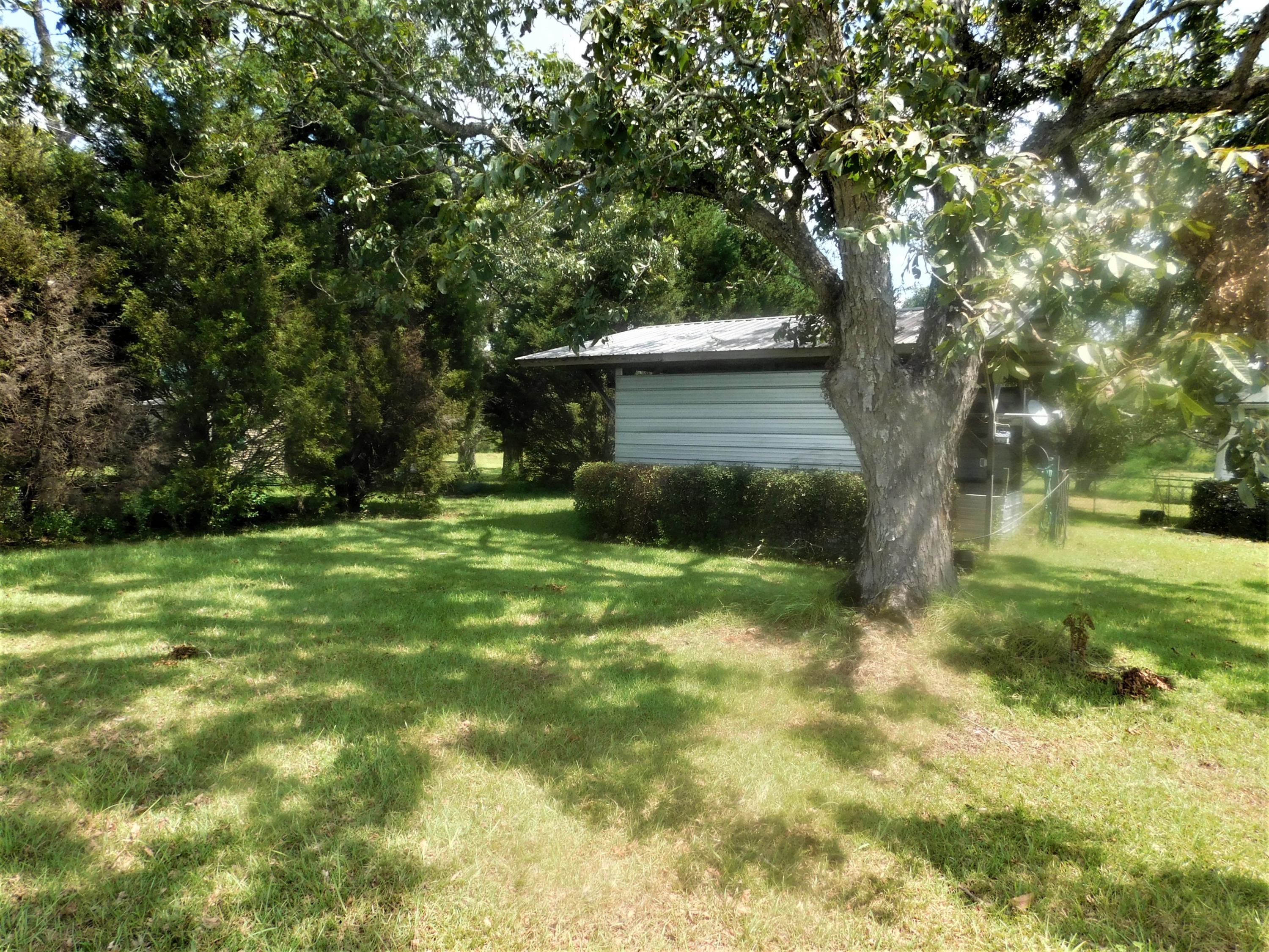 1533 Messick Road Baker, FL 32531 - Photo 10 of 40 a view of a backyard