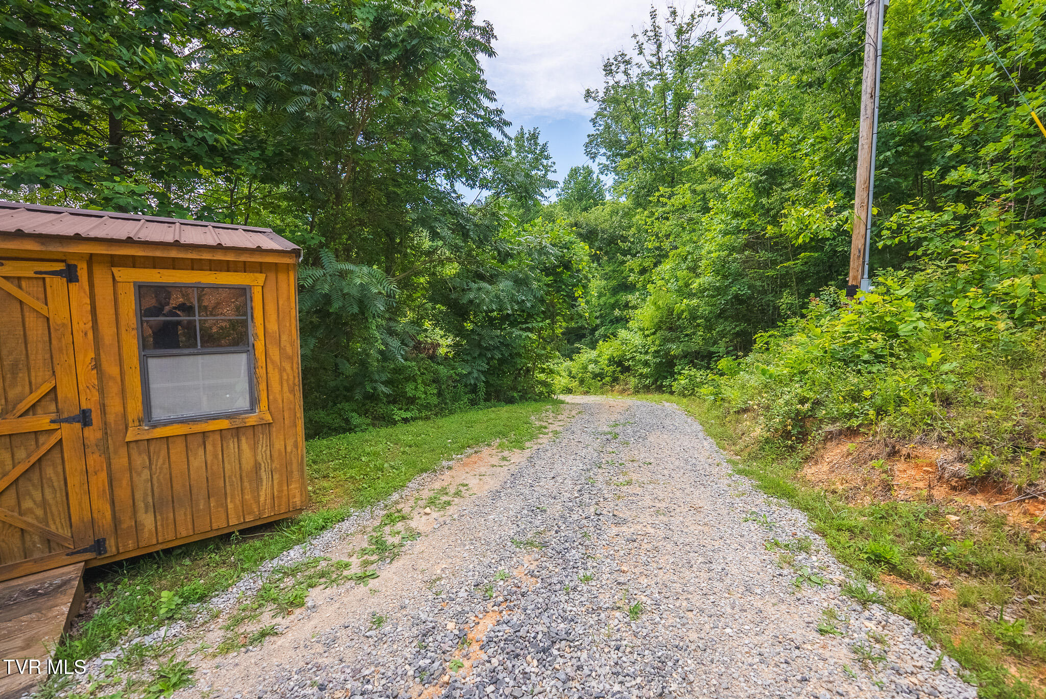2733 Rackum Road Thorn Hill, TN 37881 - Photo 42 of 43 DSC01944