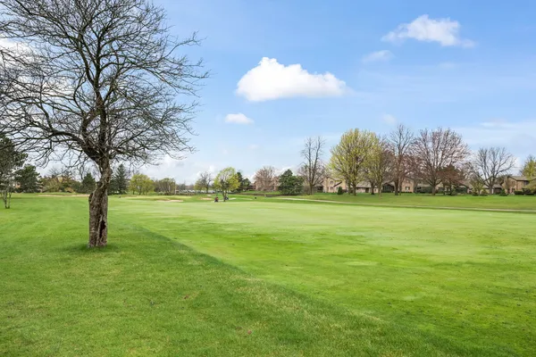 a view of field with tall trees