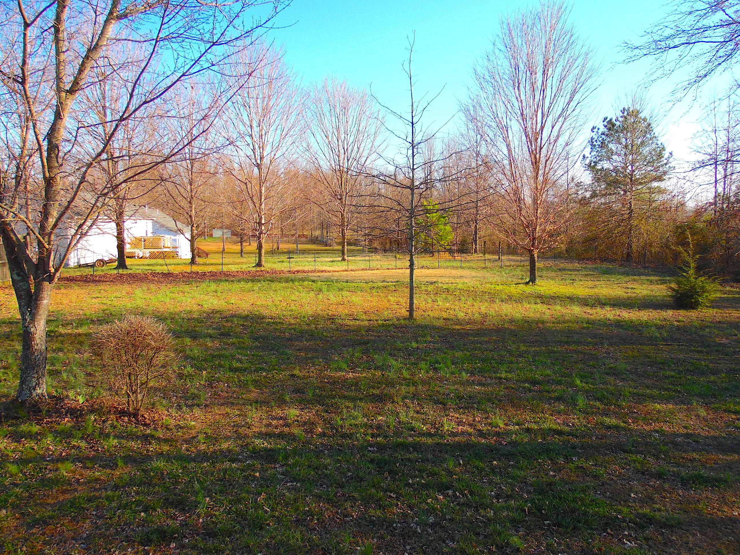 773 James Austin Road Sparta, TN 38583 - Photo 5 of 38 j5