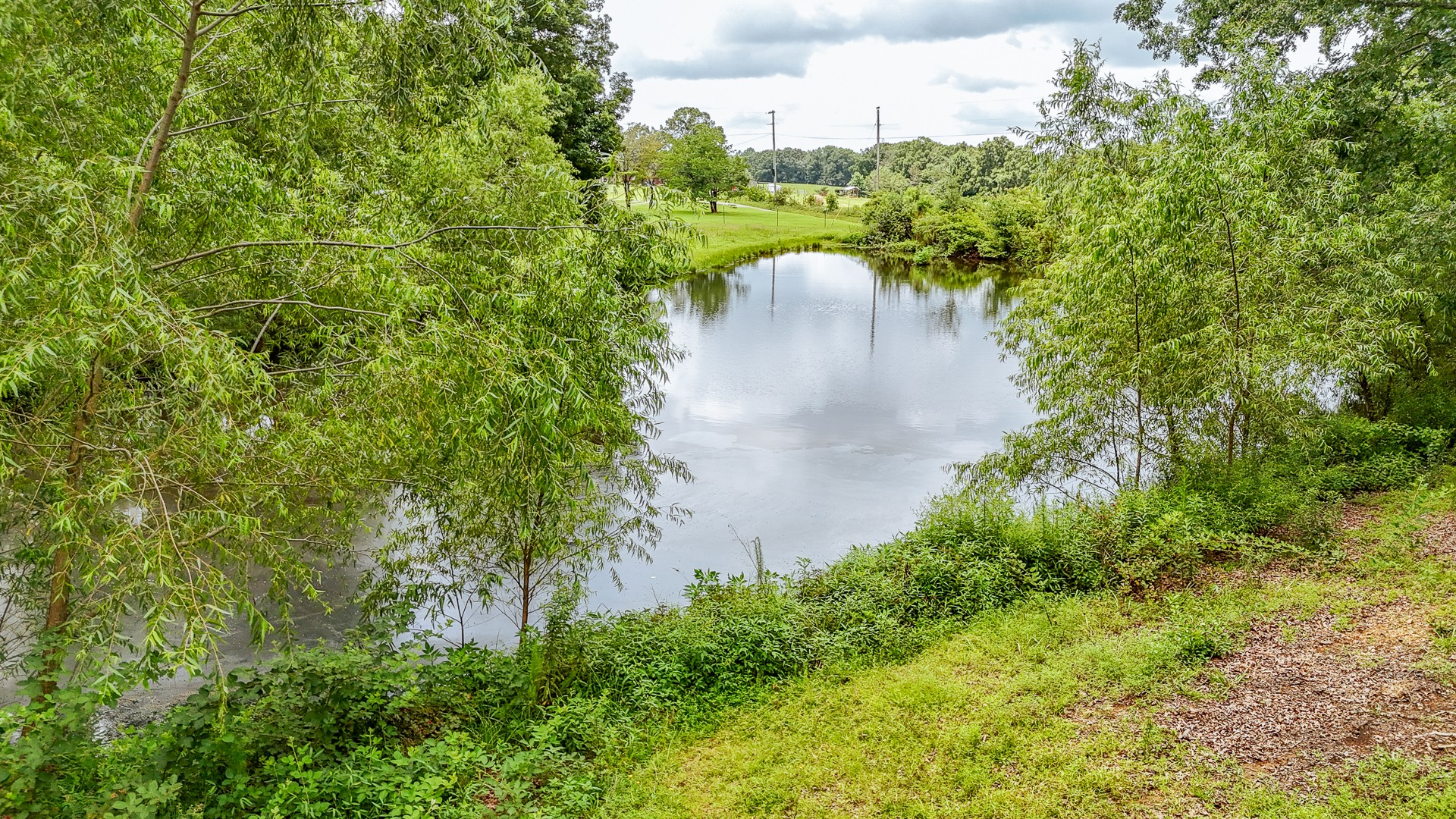 1053 Houston Smith Road Iron City, TN 38463 - Photo 5 of 86