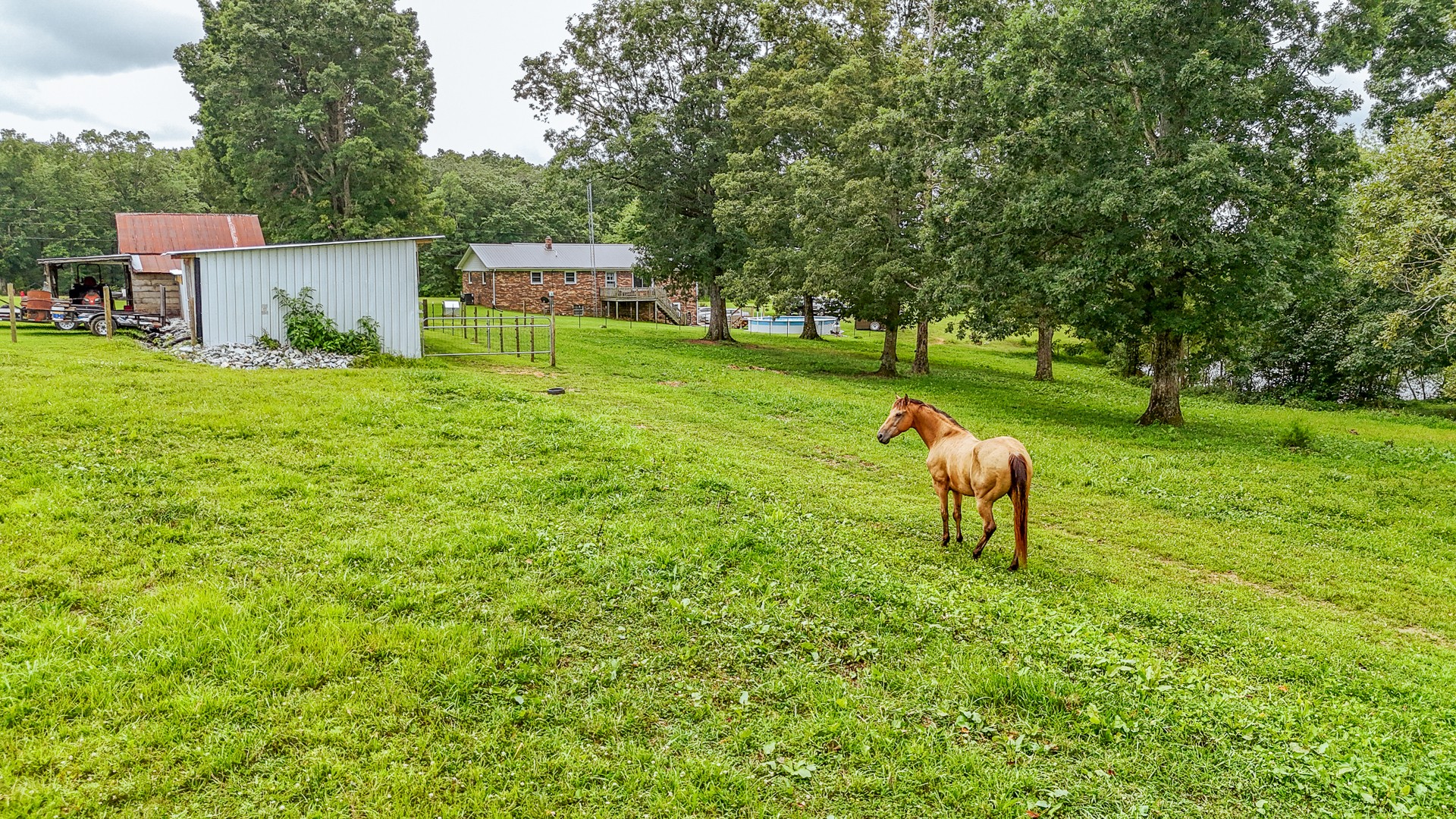 1053 Houston Smith Road Iron City, TN 38463 - Photo 6 of 86