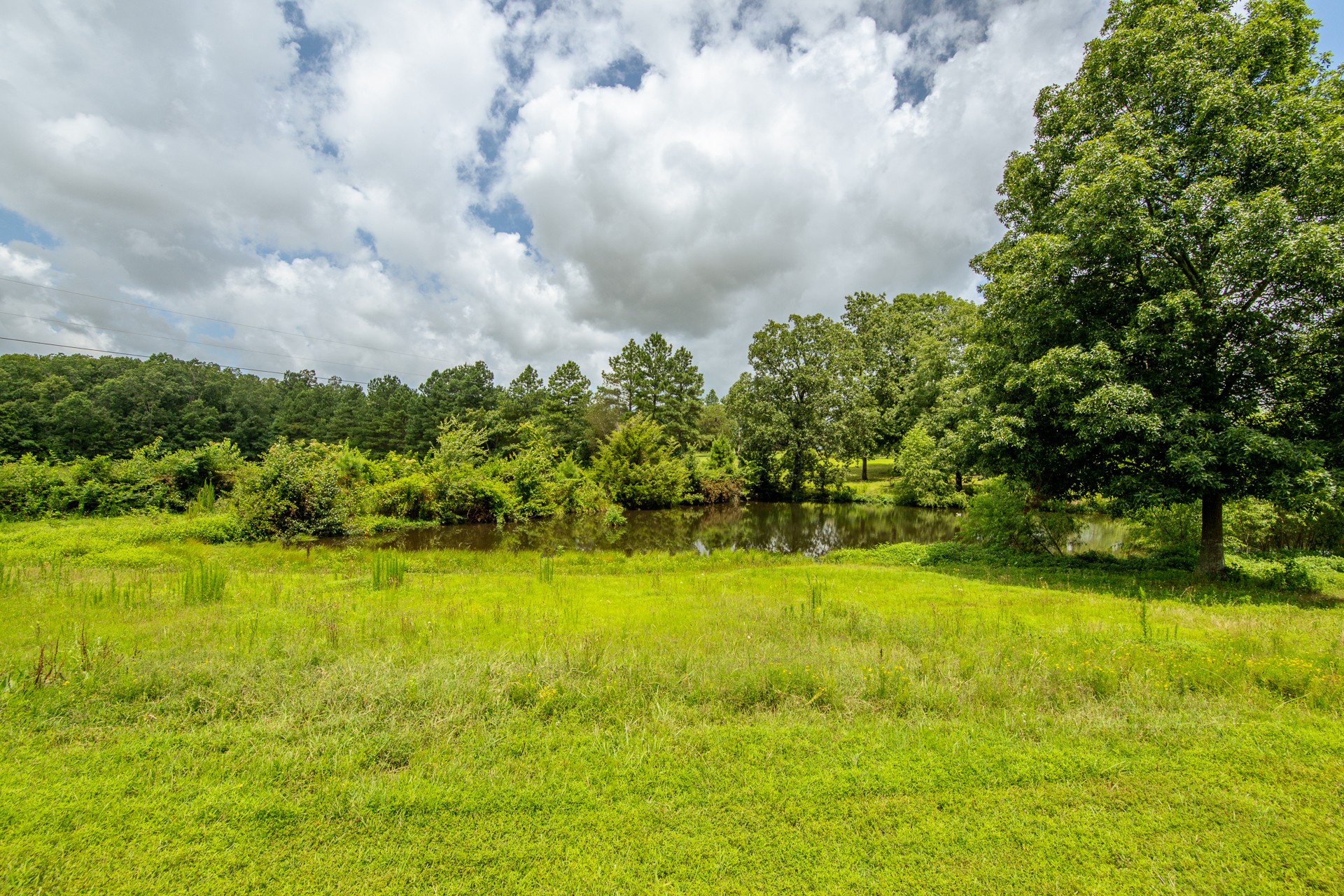 1053 Houston Smith Road Iron City, TN 38463 - Photo 65 of 86