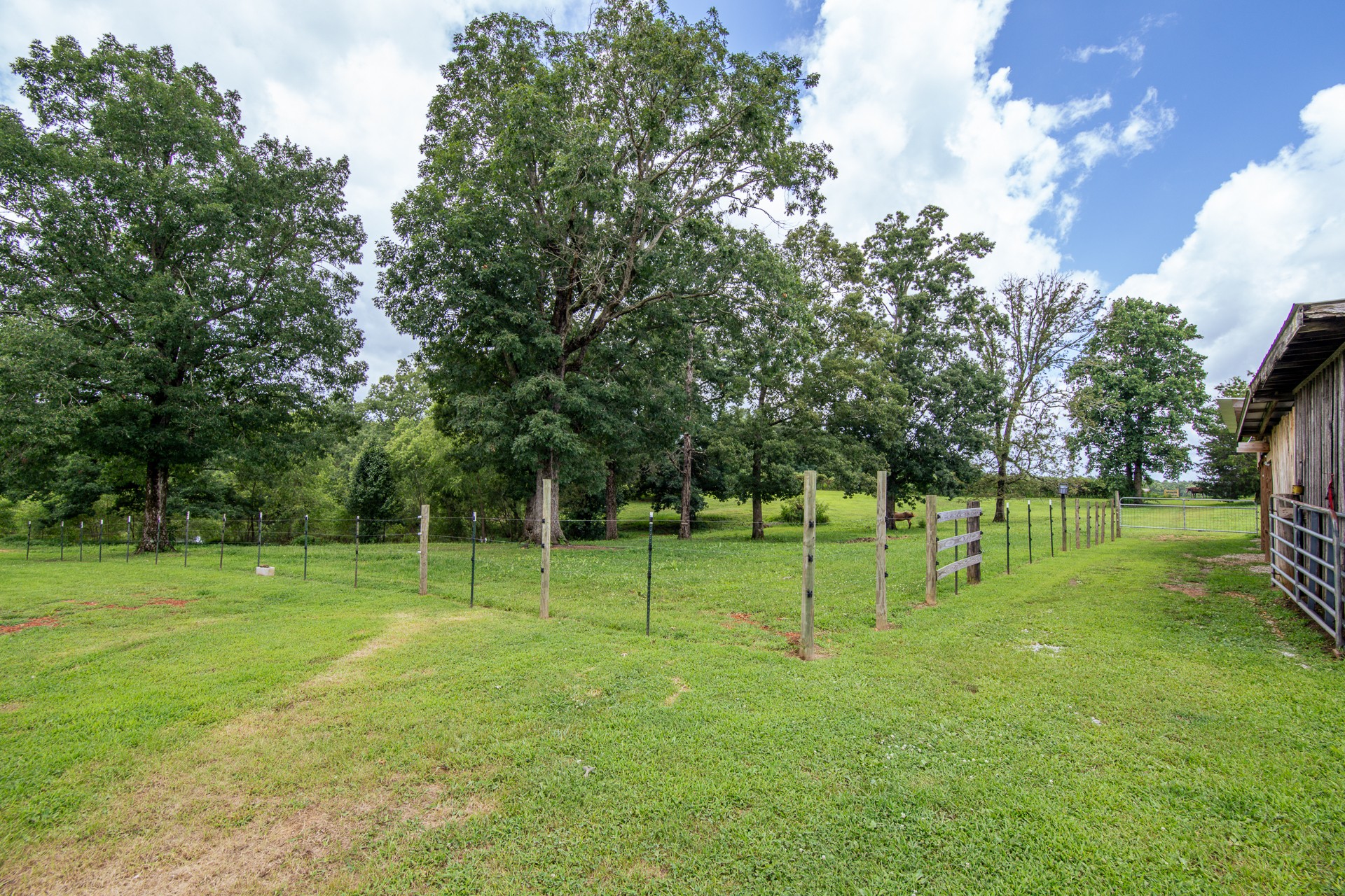 1053 Houston Smith Road Iron City, TN 38463 - Photo 66 of 86