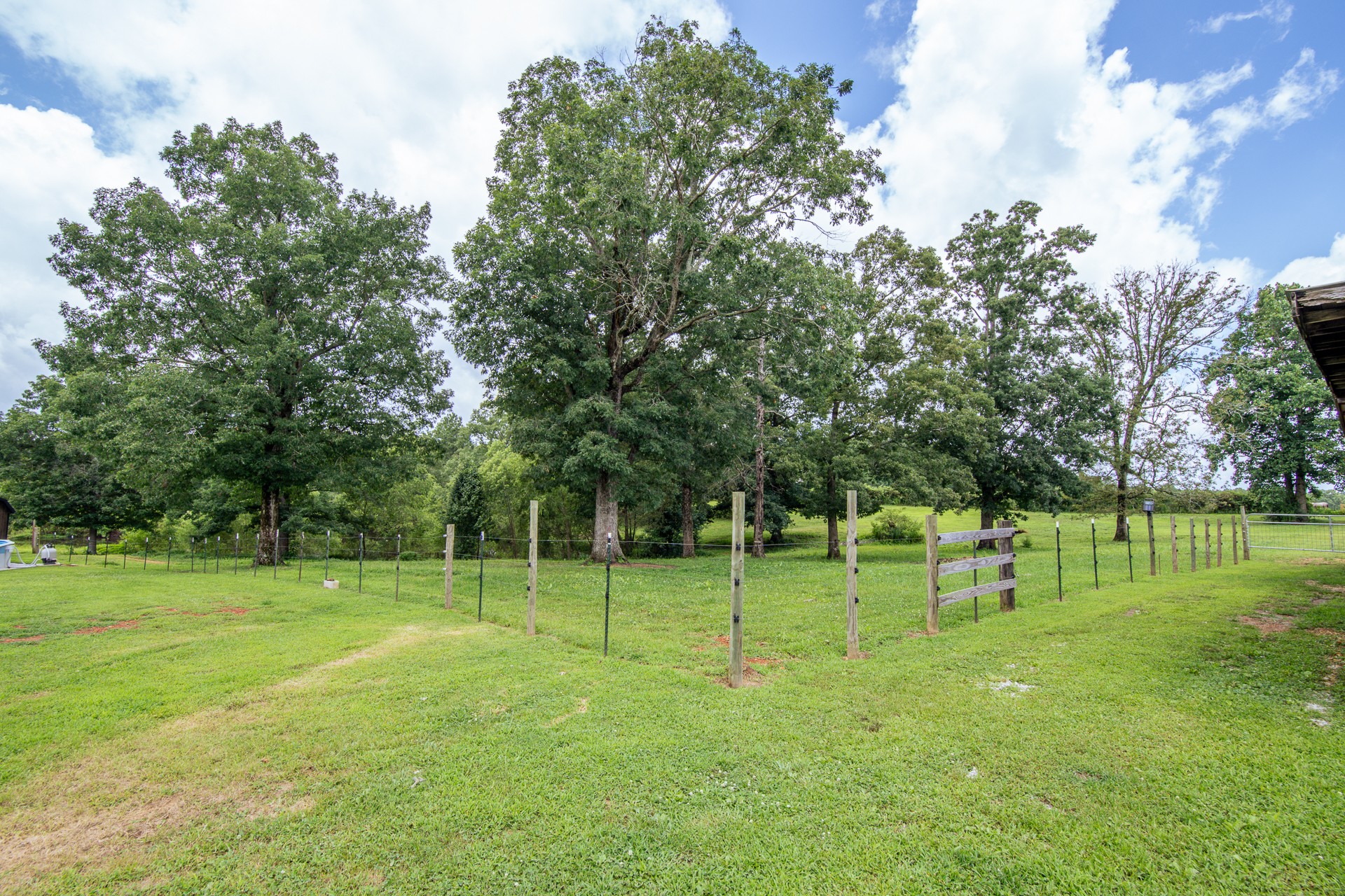 1053 Houston Smith Road Iron City, TN 38463 - Photo 67 of 86