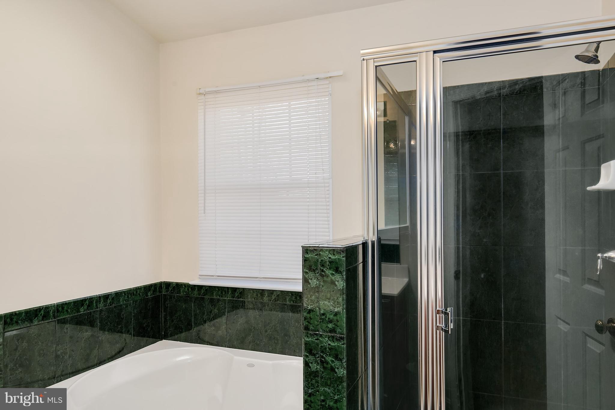 273 Braxton Way Edgewater, MD 21037 - Photo 17 of 30 Bath (Master)