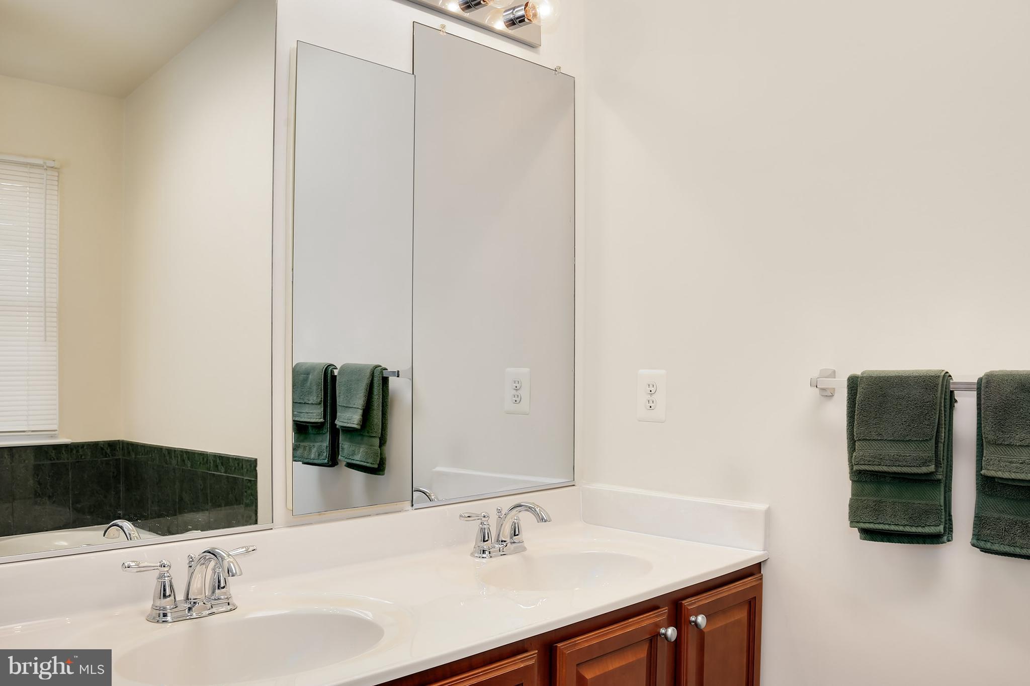 273 Braxton Way Edgewater, MD 21037 - Photo 18 of 30 Bath (Master)