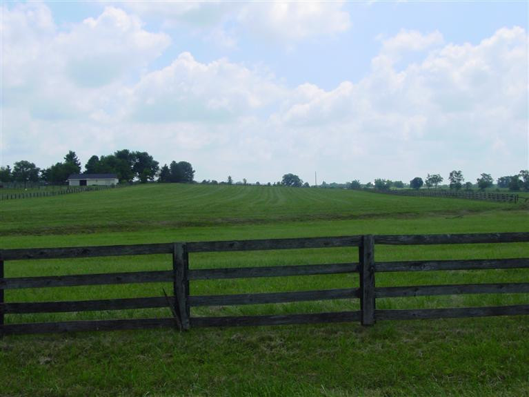 1501 Bethlehem Road Paris, KY 40361 - Photo 6 of 11 Photo 6