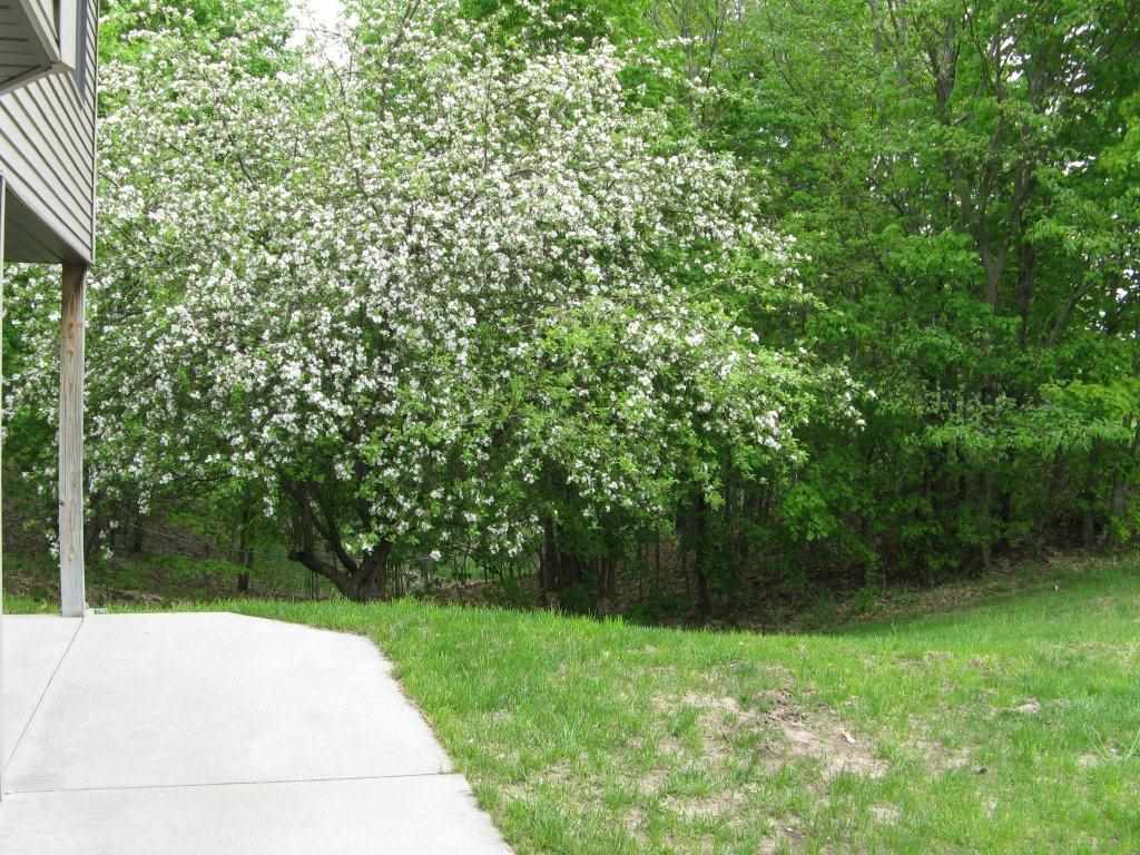 10995 South Watkoski Road Traverse City, MI 49684 - Photo 49 of 75 1800239-48.JPG