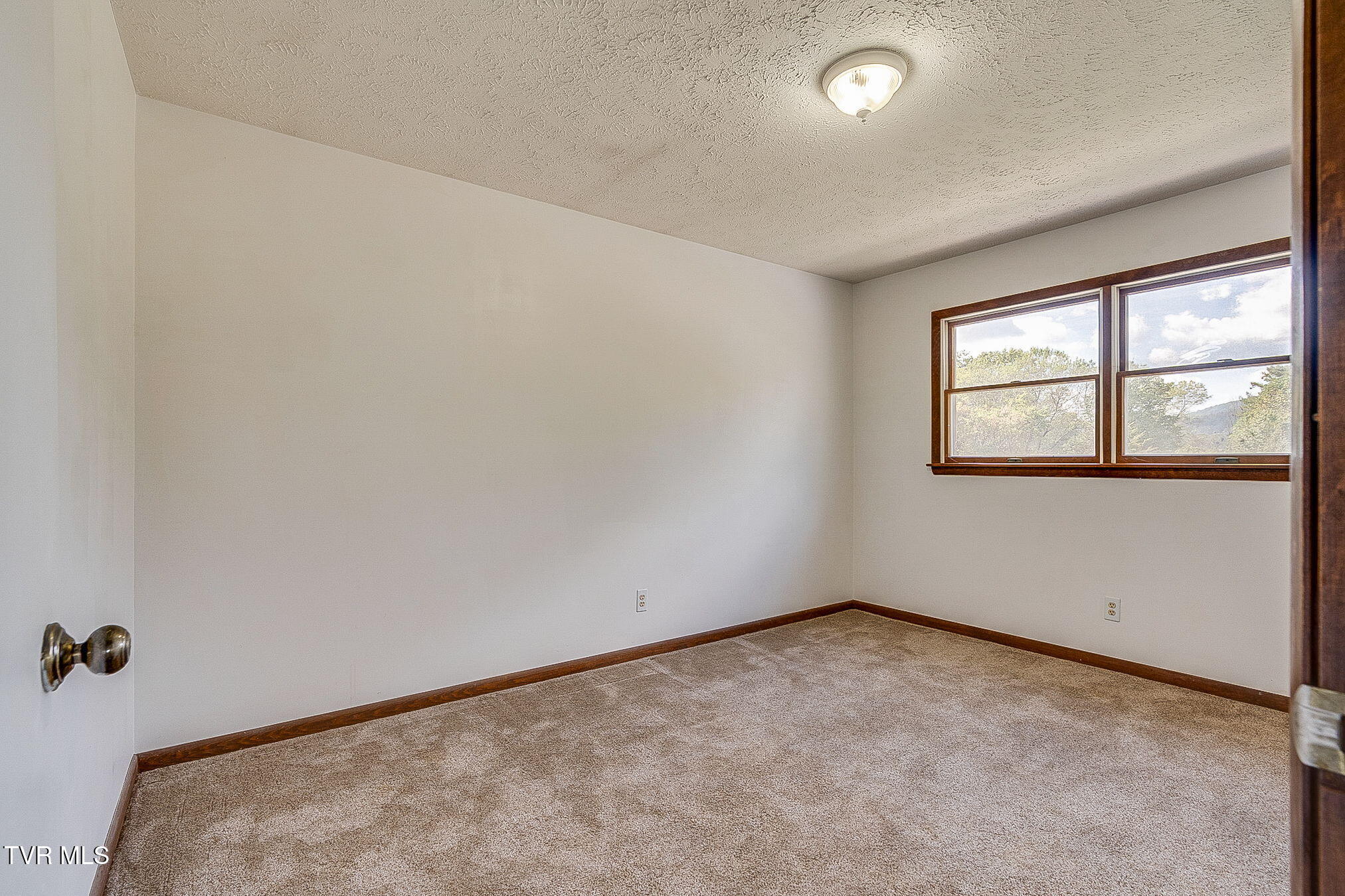 193 Light Drive Dryden, VA 24243 - Photo 19 of 43 016