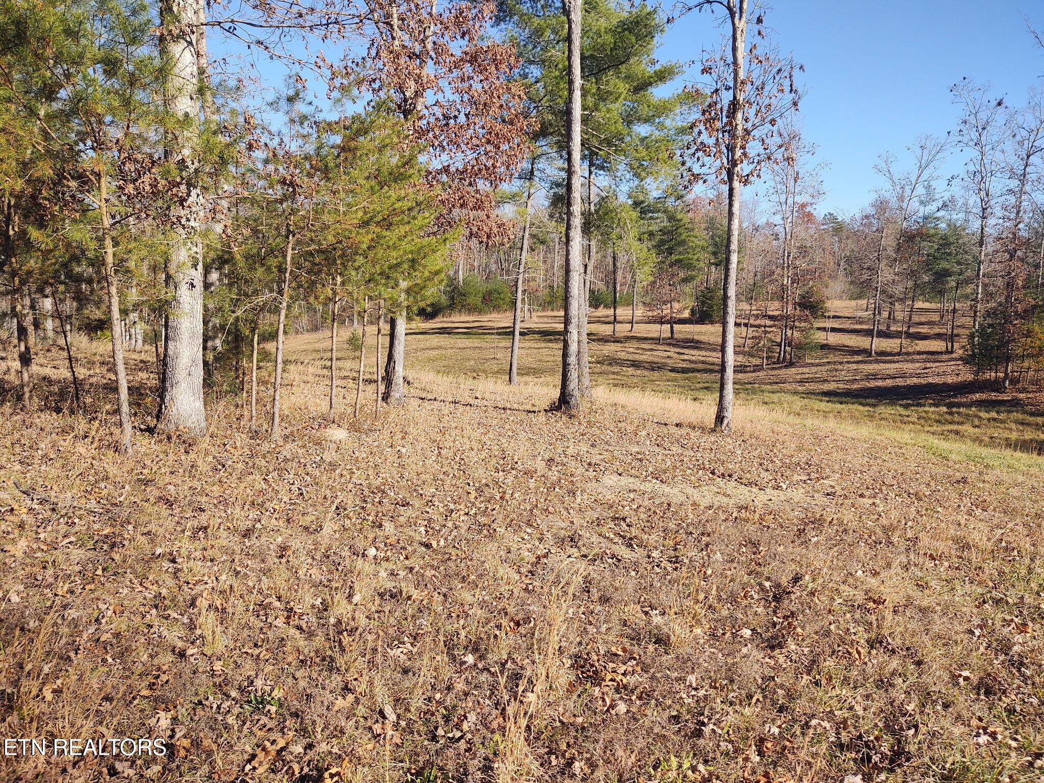 1241 Twin Bridge Road Deer Lodge, TN 37726 - Photo 11 of 35 Gallery Image 11