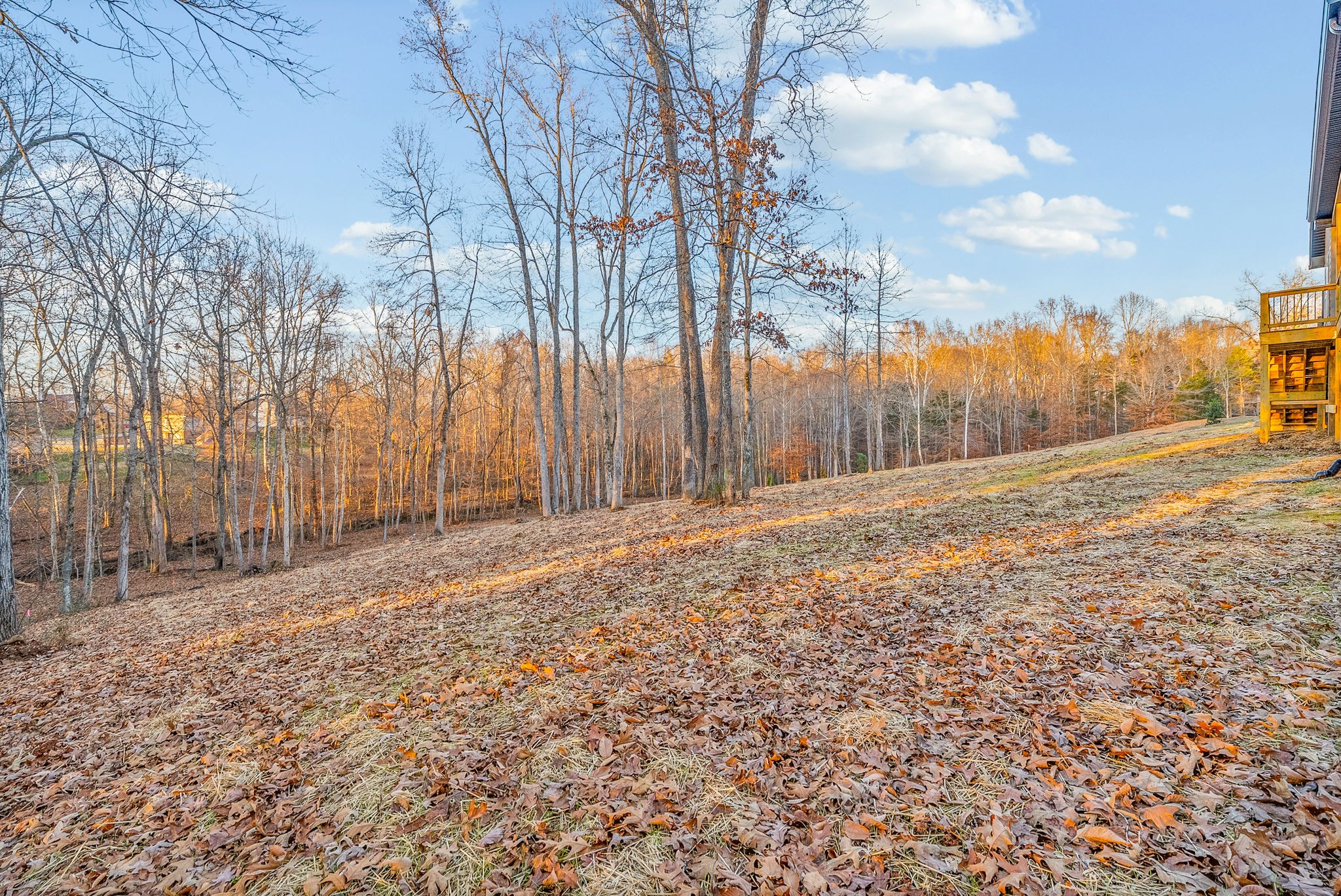 1319 Shady Grove Road Clarksville, TN 37043 - Photo 54 of 62