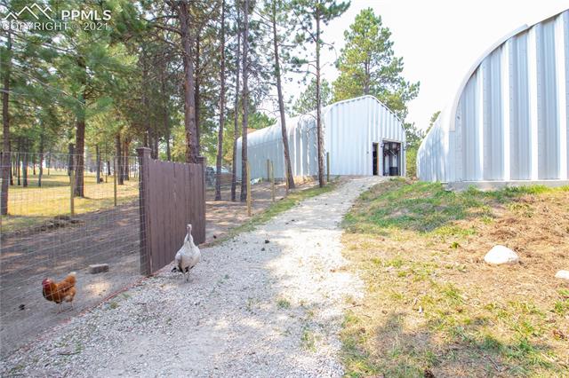 9970 Hodgen Road Colorado Springs, CO 80908 - Photo 26 of 30