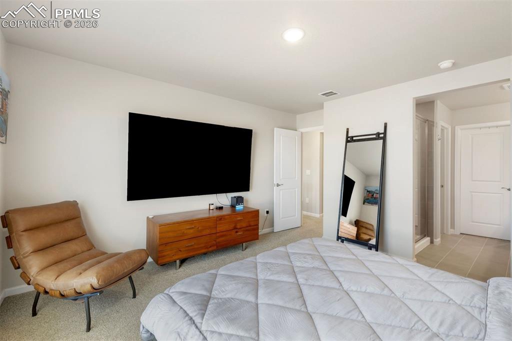 2028 Peridot Loop Colorado Springs, CO 80908 - Photo 15 of 24