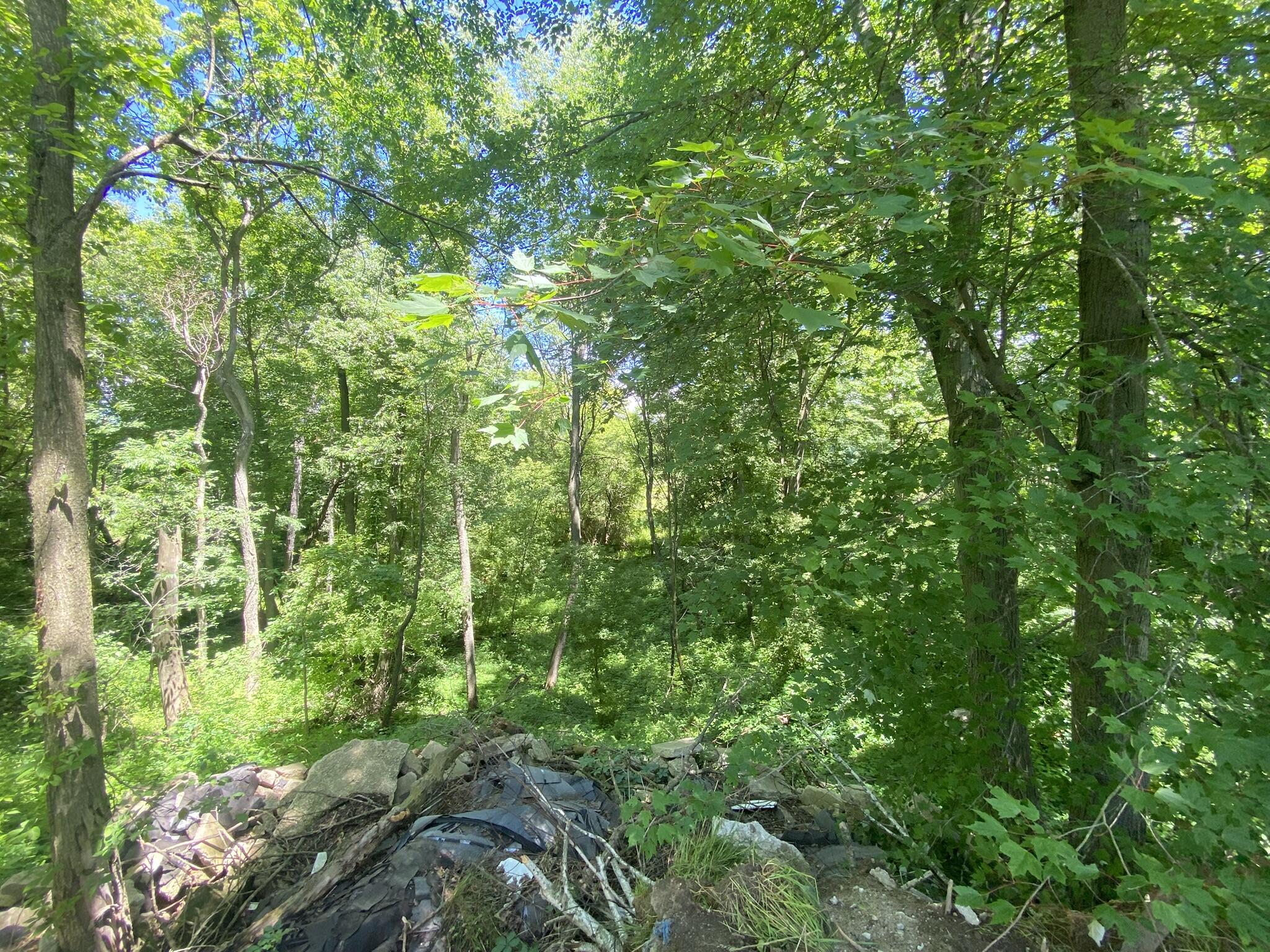Cassidy Road Bellevue, MI 49021 - Photo 5 of 13 IMG_9368