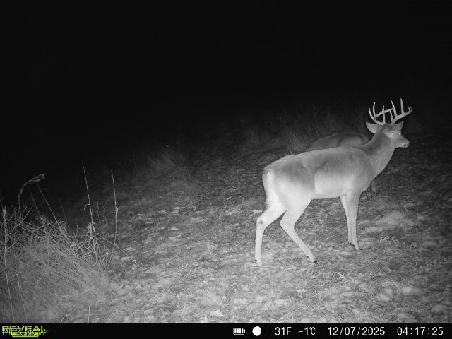 6268 Kings Ridge Road Newcomerstown, OH 43832 - Photo 46 of 46