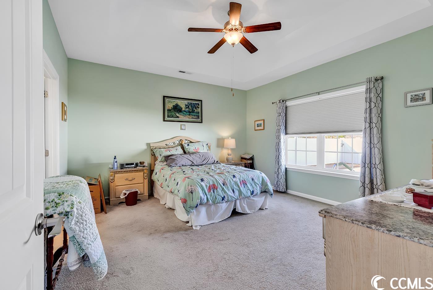 335 Pickney Court Conway, SC 29526 - Photo 11 of 28