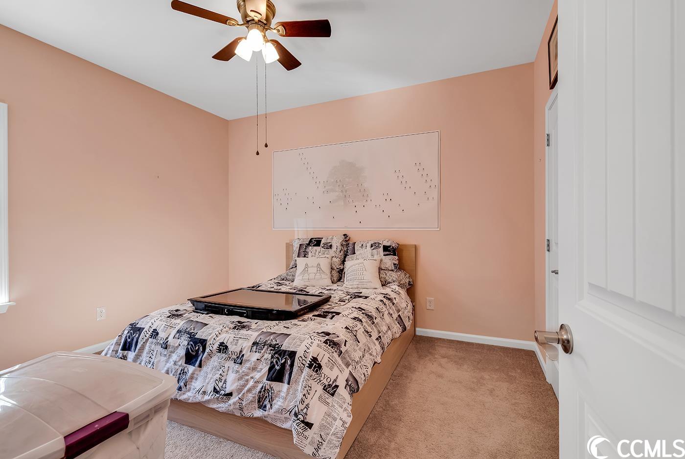 335 Pickney Court Conway, SC 29526 - Photo 17 of 28