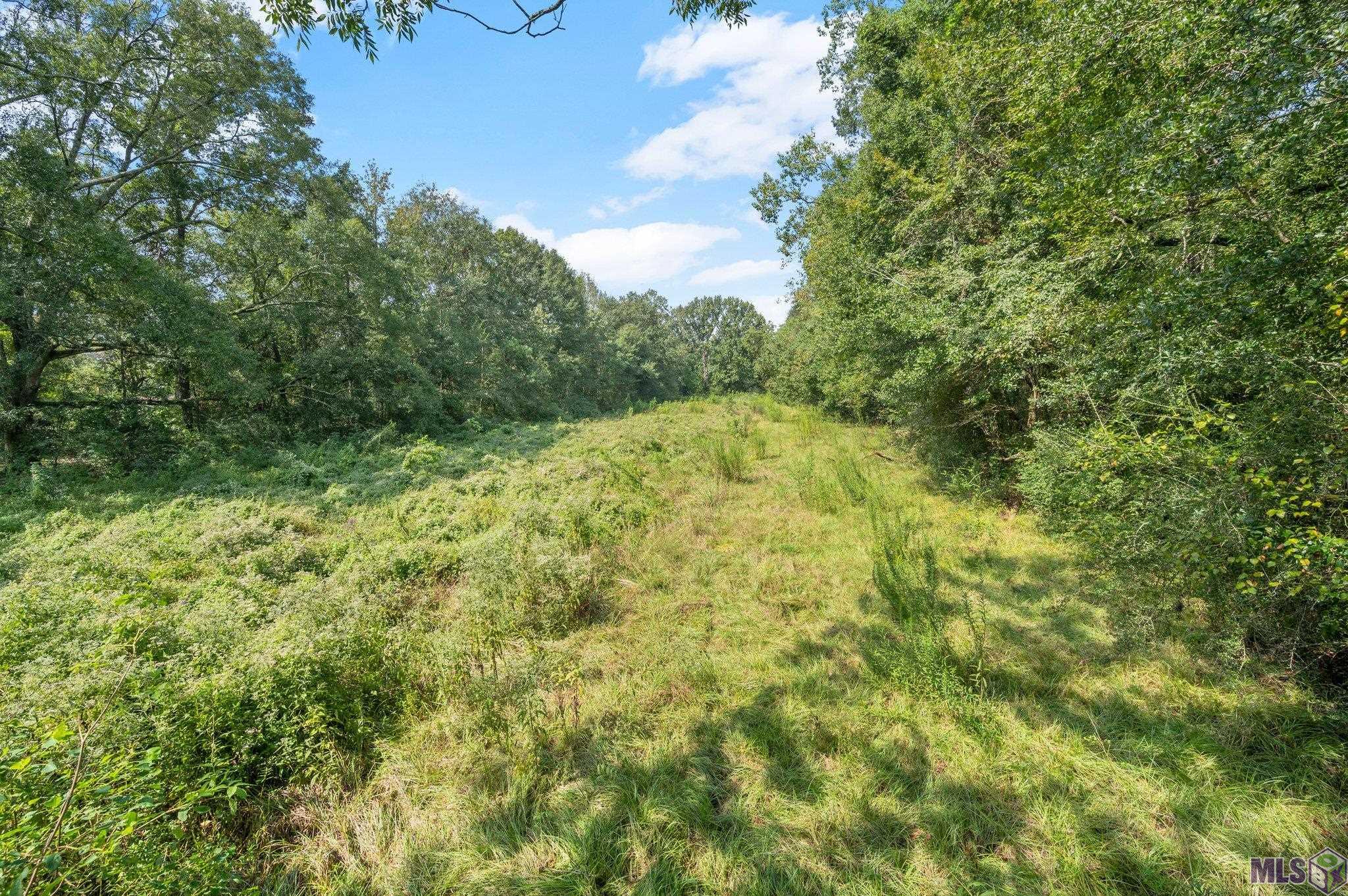 11225 Plank Road Baton Rouge, LA 70811 - Photo 3 of 8