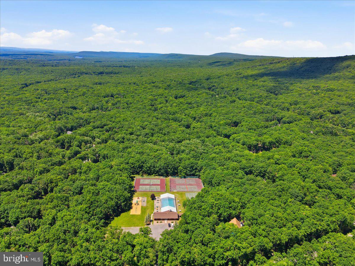177 Jay Effort, PA 18330 - Photo 44 of 47 Secluded retreat amidst lush greenery.