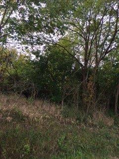 1 Tract B Boone Trail Road Richmond, KY 40475 - Photo 4 of 7 Additional Photo