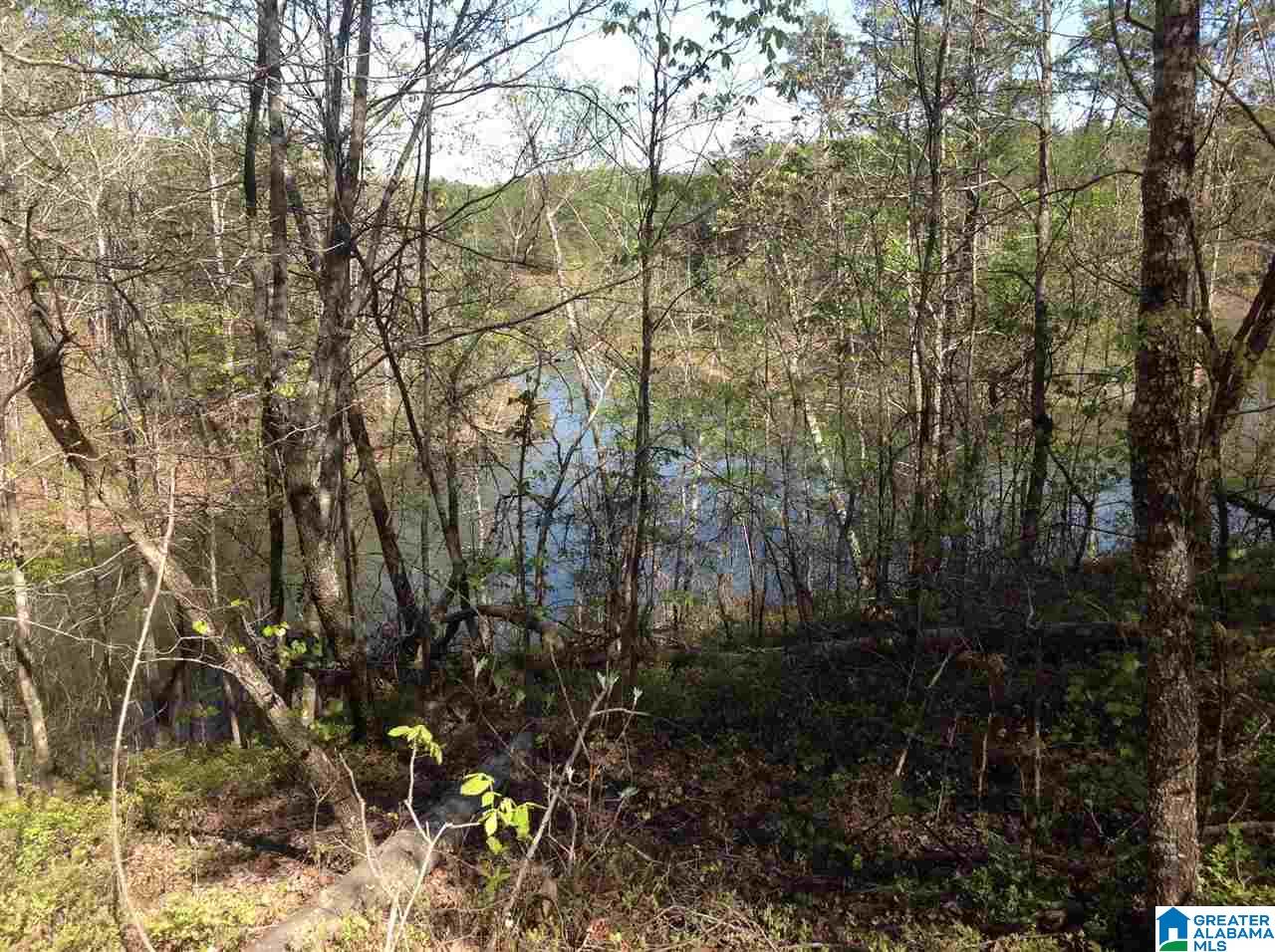 Solitude Drive, Unit 19 Clanton, AL 35046 - Photo 5 of 5
