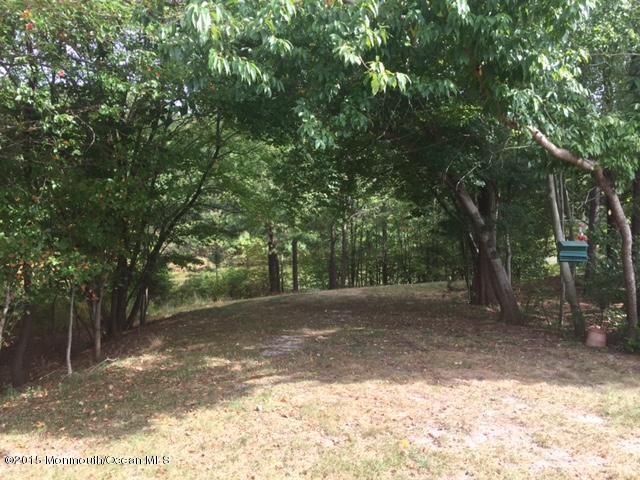43 Blue Ridge Drive Brick, NJ 08724 - Photo 18 of 19 IMG_3033