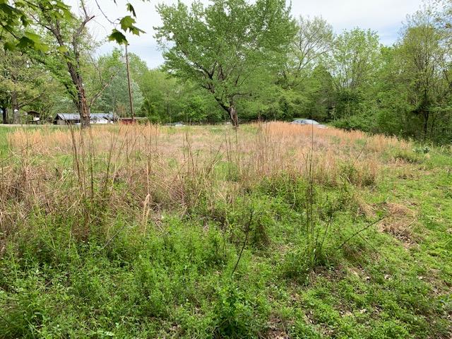 4682 Devers Road Southside, TN 37171 - Photo 3 of 3