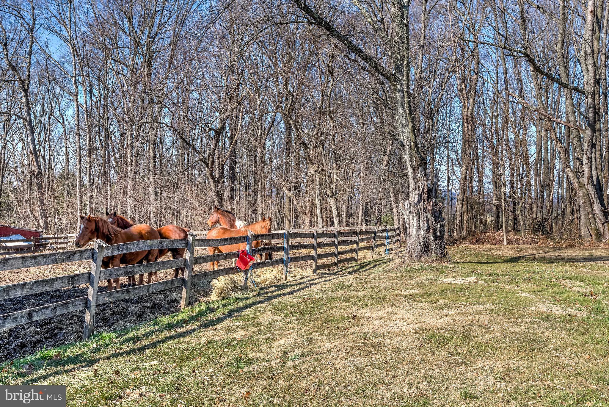 1854 Jefferson Road Spring Grove, PA 17362 - Photo 14 of 17
