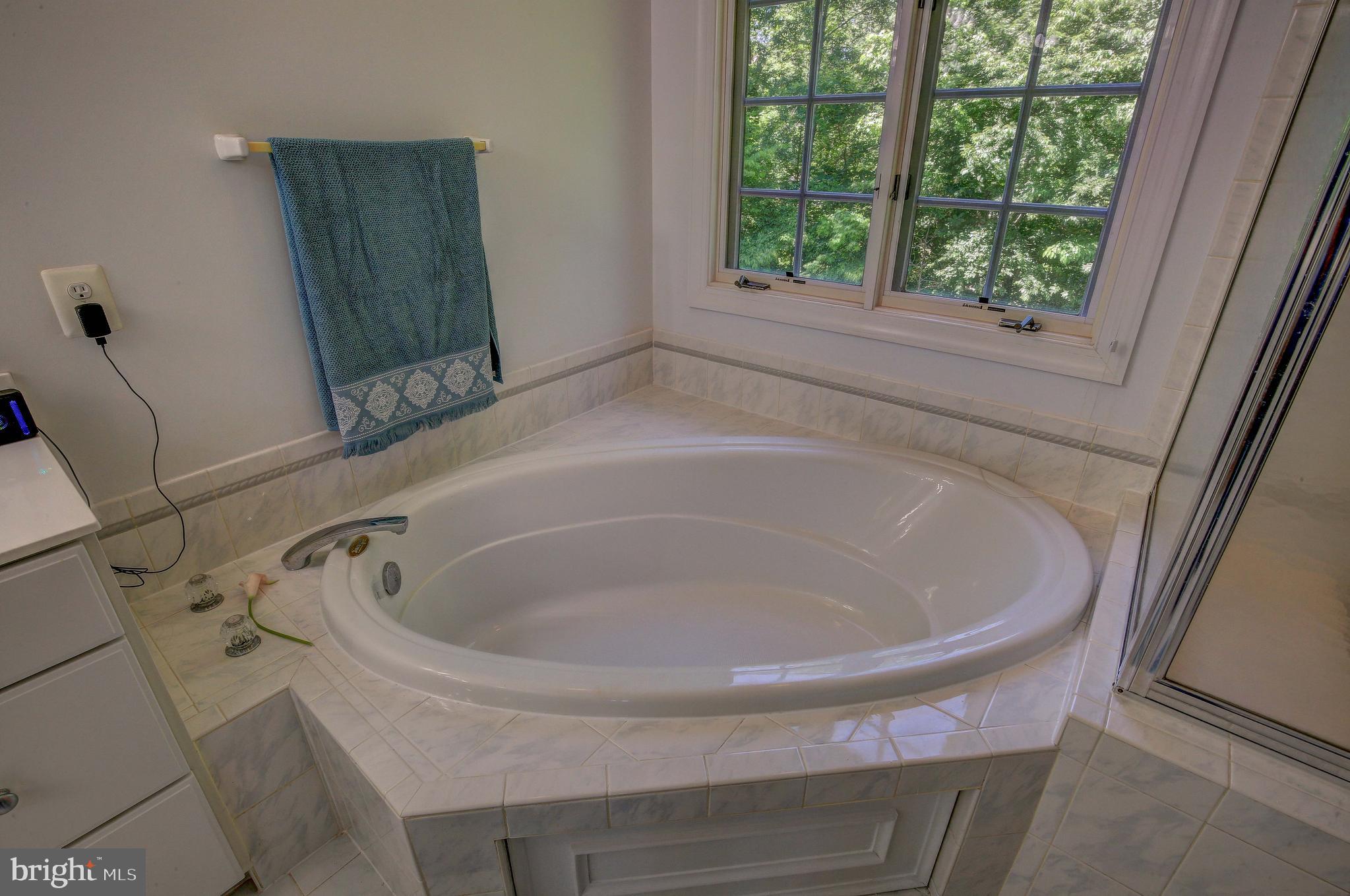 2023 Gresham Lane Davidsonville, MD 21035 - Photo 41 of 58 Huge, soaking tub