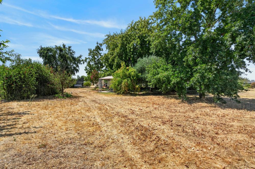 11291 Colony Road Wilton, CA 95693 - Photo 70 of 80 Gallery Image 70