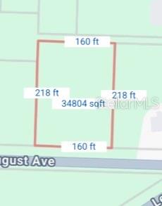 34039 August Avenue Webster, FL 33597 - Photo 3 of 3