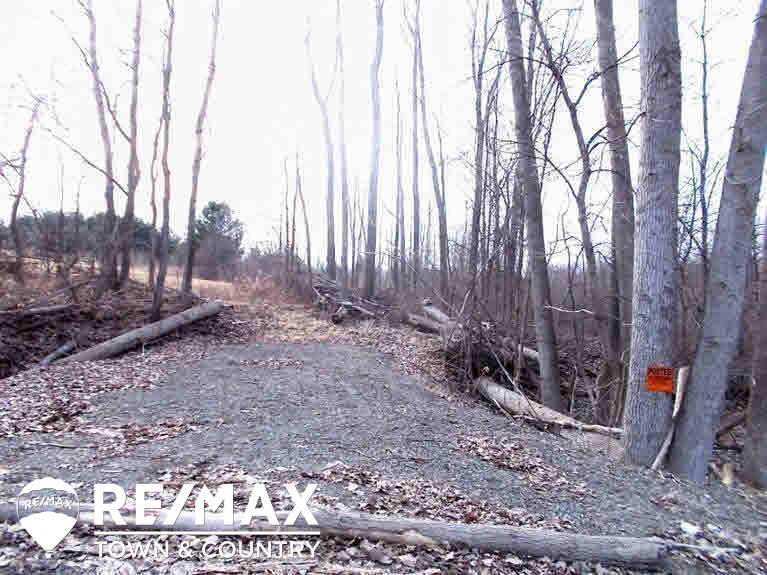 0 Elms Road Montrose, MI 48457 - Photo 10 of 10