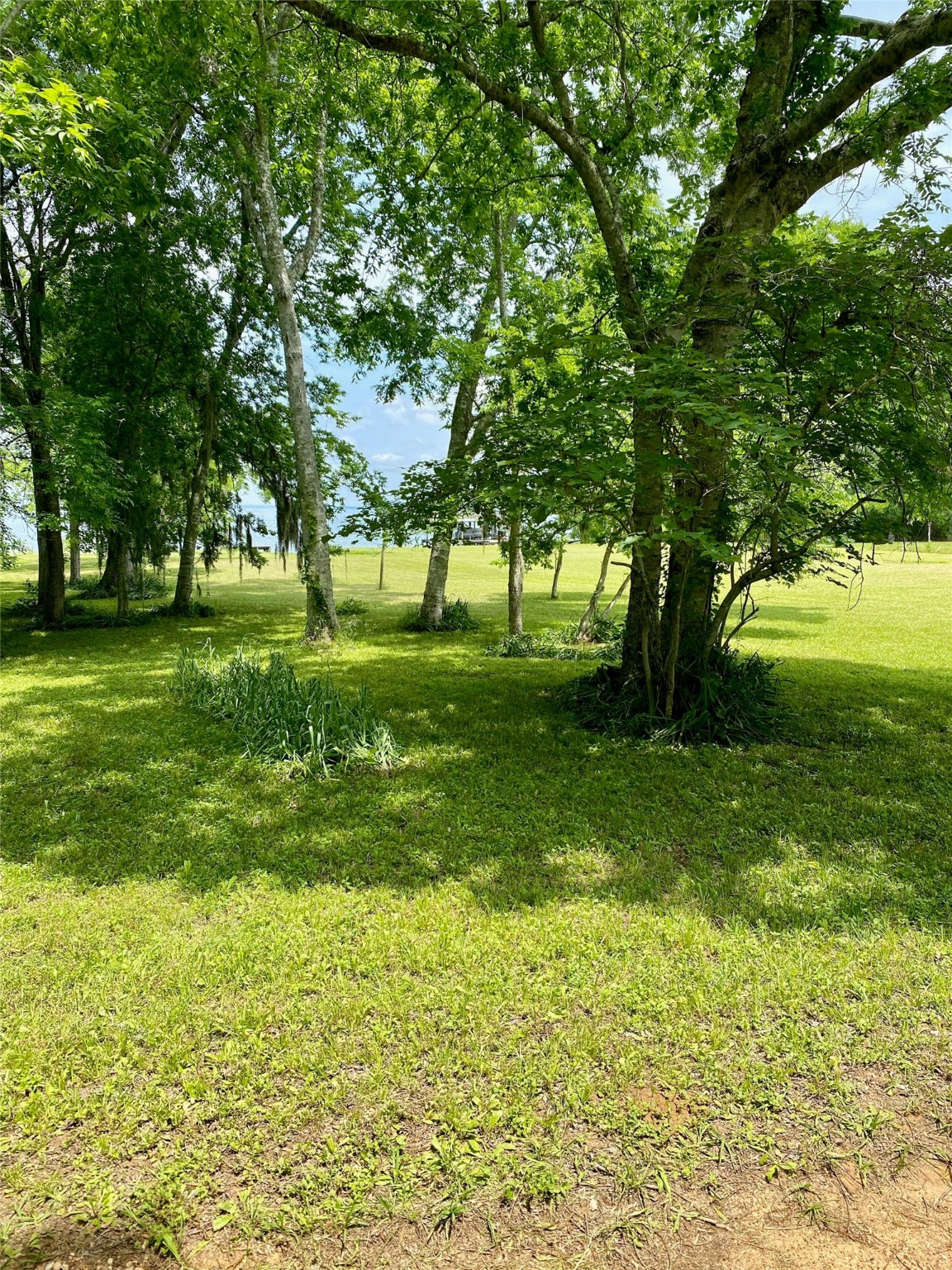 980 Hill Farm Road Coldspring, TX 77331 - Photo 22 of 22