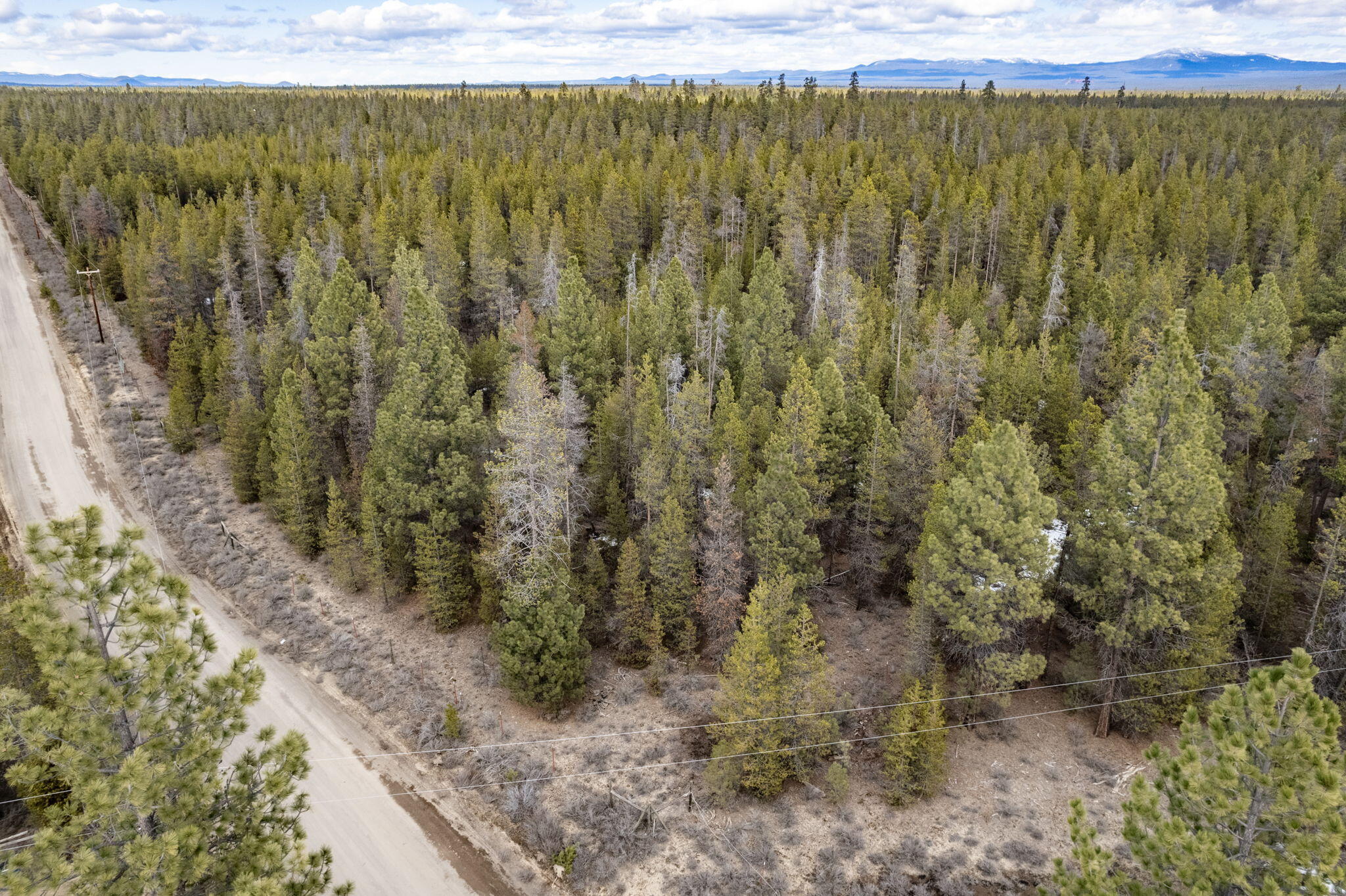 Robert Road, Unit TL La Pine, OR 97739 - Photo 5 of 17 a view of a yard with an outdoor space