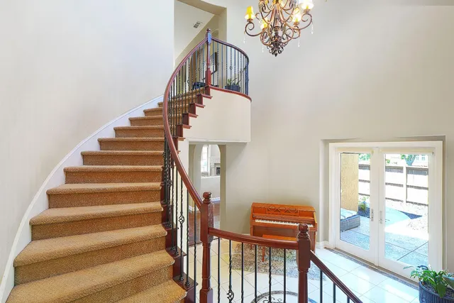 a small garden covered with tall trees