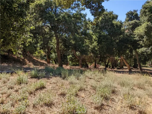 a view of a covered with trees in the background
