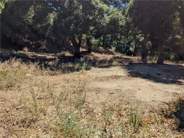 a view of dirt yard with a large tree