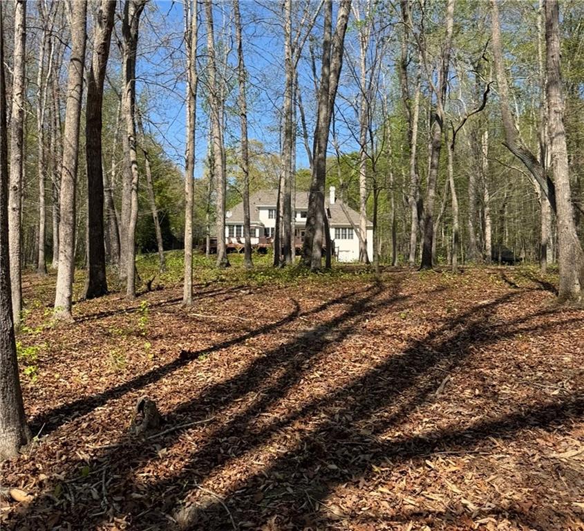 4185 Pool Road Winston, GA 30187 - Photo 38 of 39 a backyard of a house with lots of green space