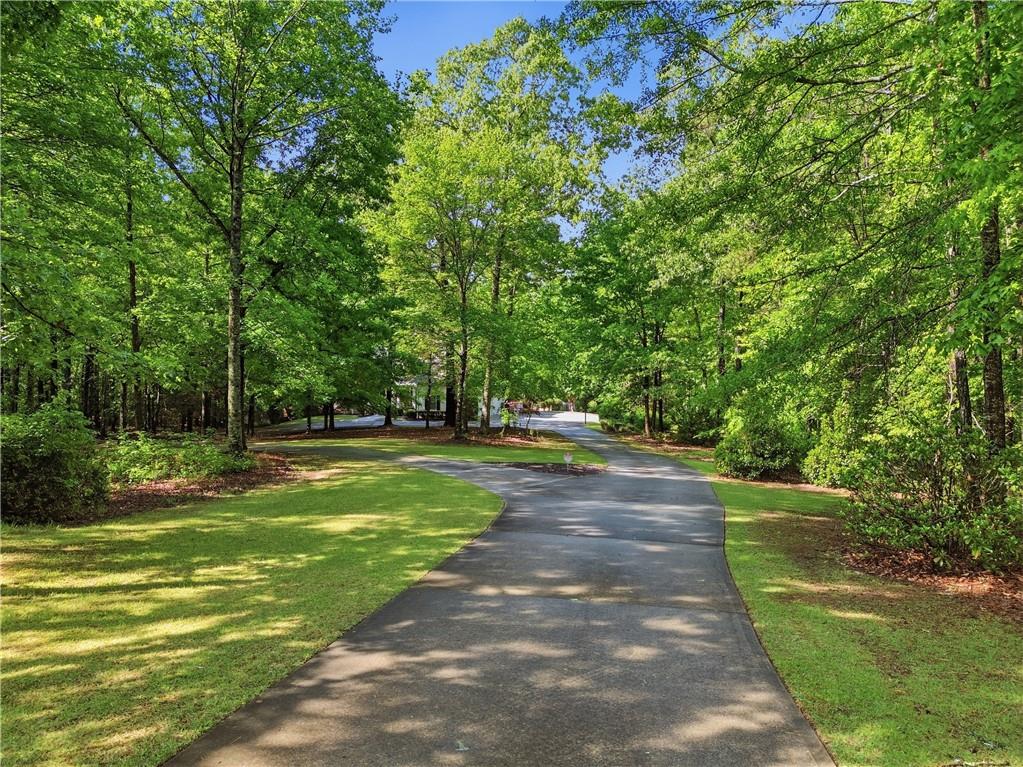 4185 Pool Road Winston, GA 30187 - Photo 5 of 39 a view of a yard with plants and trees