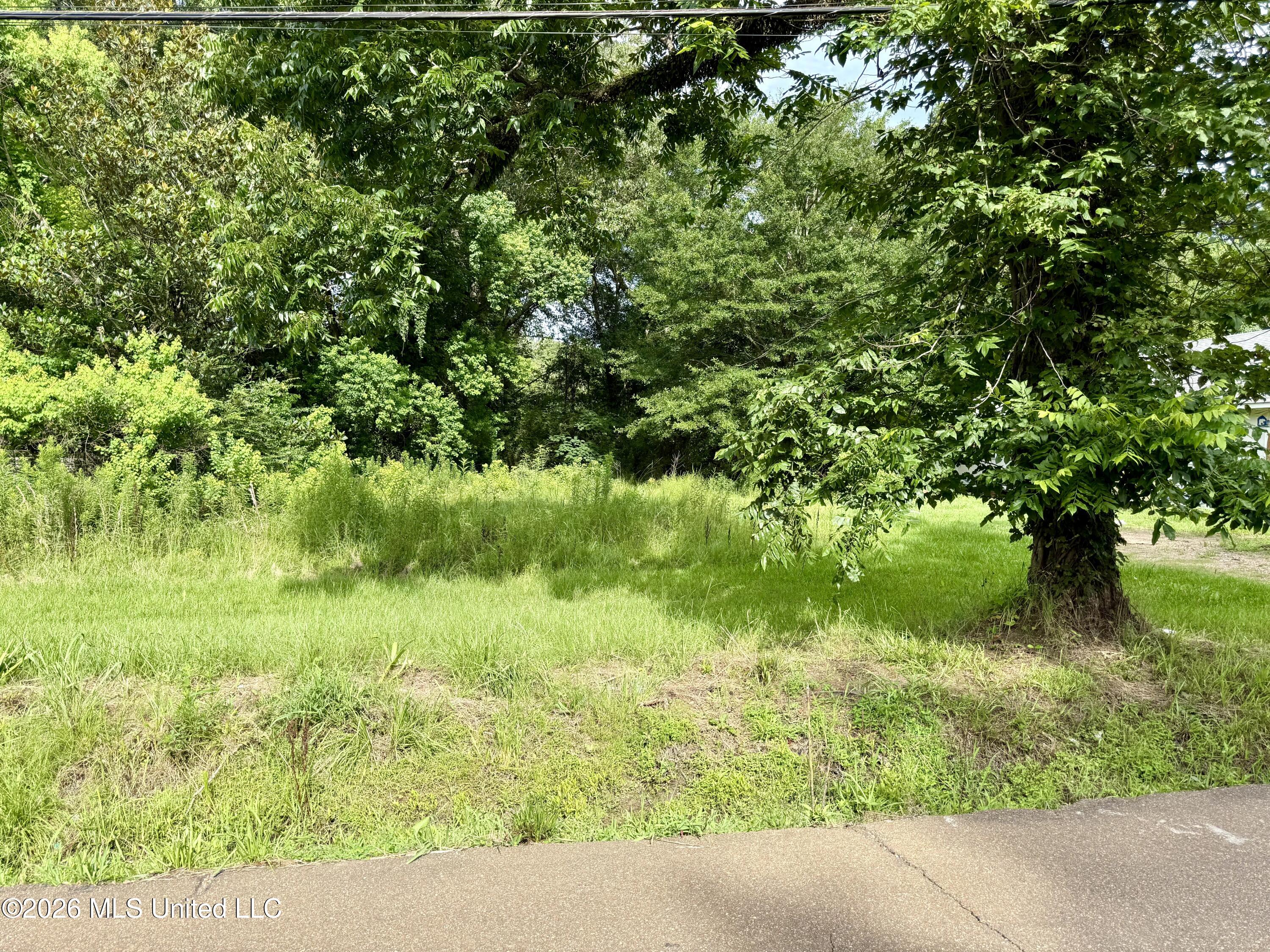 341 Miller Street Canton, MS 39046 - Photo 1 of 1 Photo Jun 26 2026, 9 12 27 AM