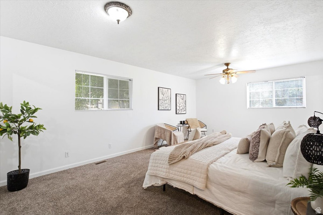 1341 29th Street Ogden, UT 84403 - Photo 16 of 37 Bright room featuring white walls, textured carpeting, and multiple windows
