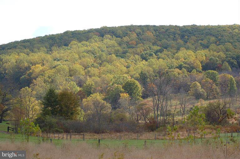 5261 Trapp Branch Road Broad Run, VA 20137 - Photo 4 of 14 View