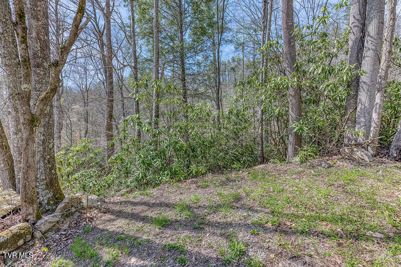 155 Tower Road Roan Mountain, TN 37687 - Photo 11 of 35 IMG_2676