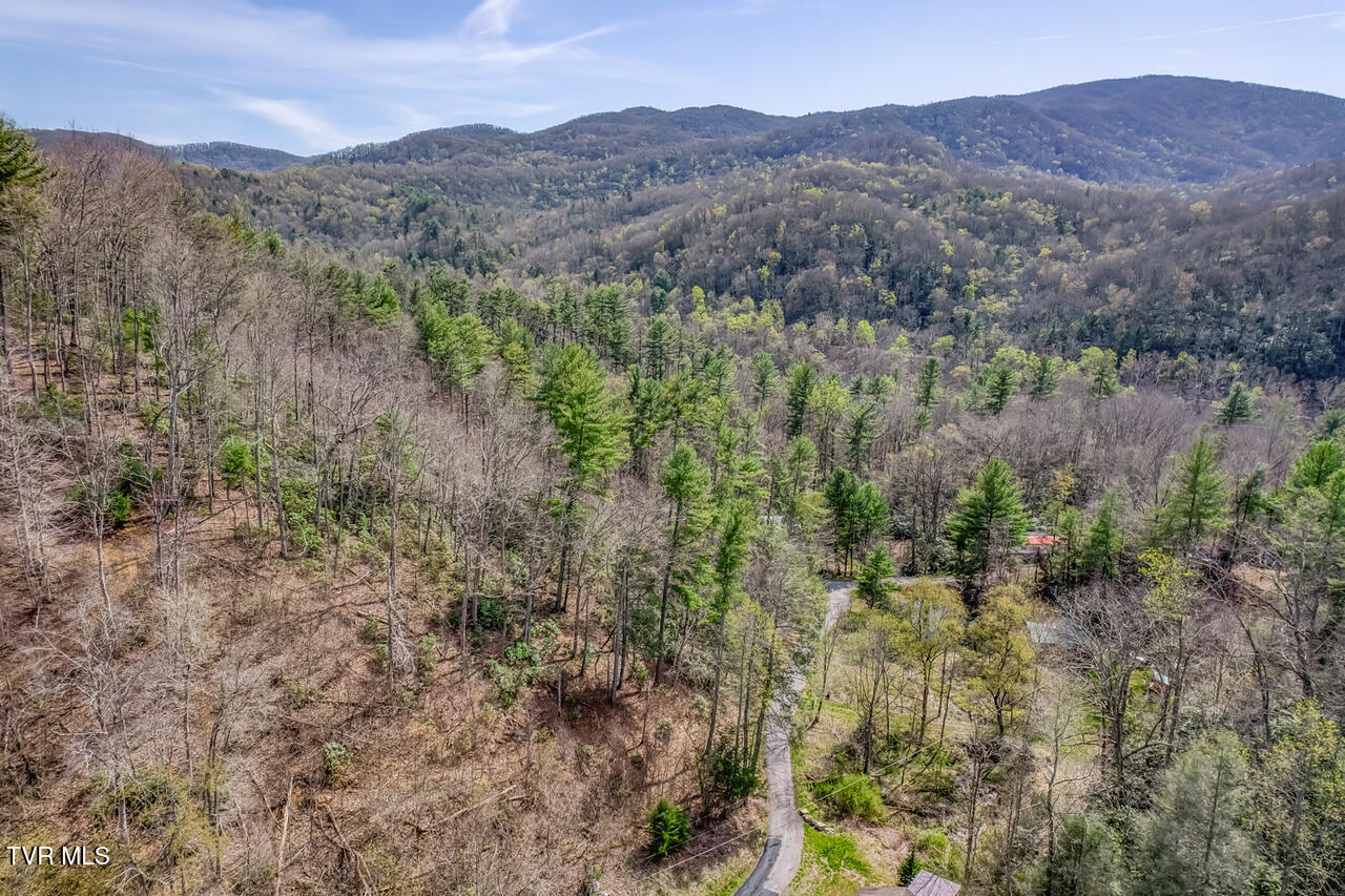 155 Tower Road Roan Mountain, TN 37687 - Photo 2 of 35 IMG_2682