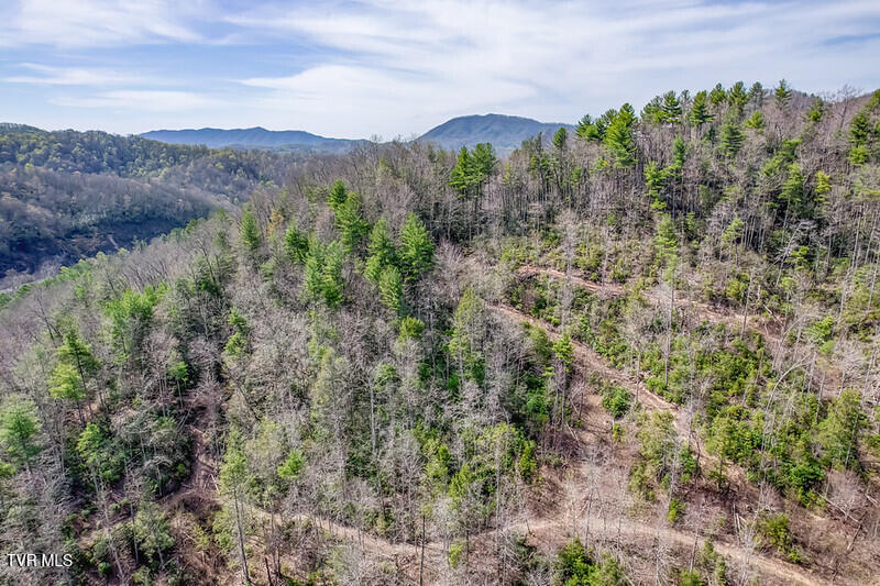 155 Tower Road Roan Mountain, TN 37687 - Photo 6 of 35 IMG_2681