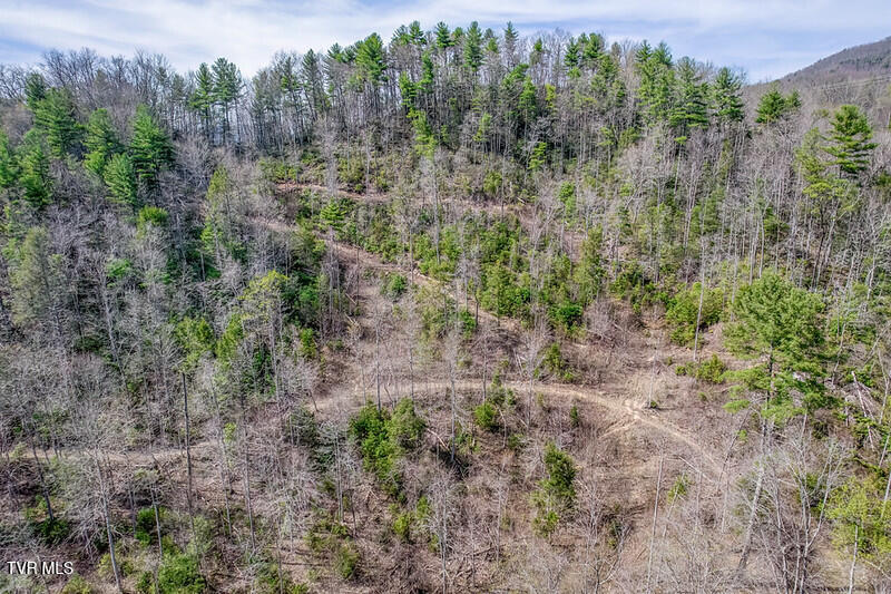 155 Tower Road Roan Mountain, TN 37687 - Photo 7 of 35 IMG_2680