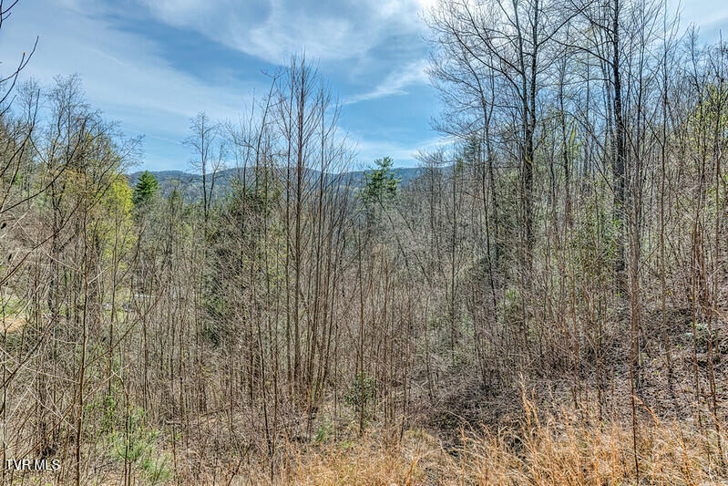 155 Tower Road Roan Mountain, TN 37687 - Photo 8 of 35 IMG_2679