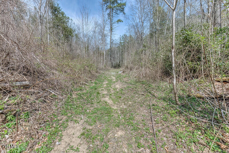 155 Tower Road Roan Mountain, TN 37687 - Photo 9 of 35 IMG_2678